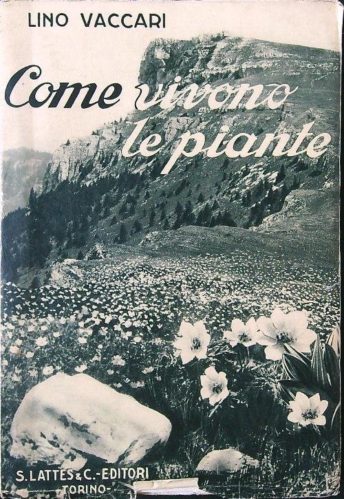 Come vivono le piante | Immagine principale