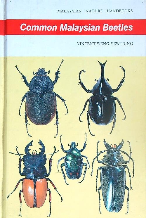 Common Malaysian Beetles