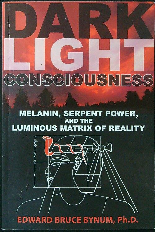 Dark Light Consciousness