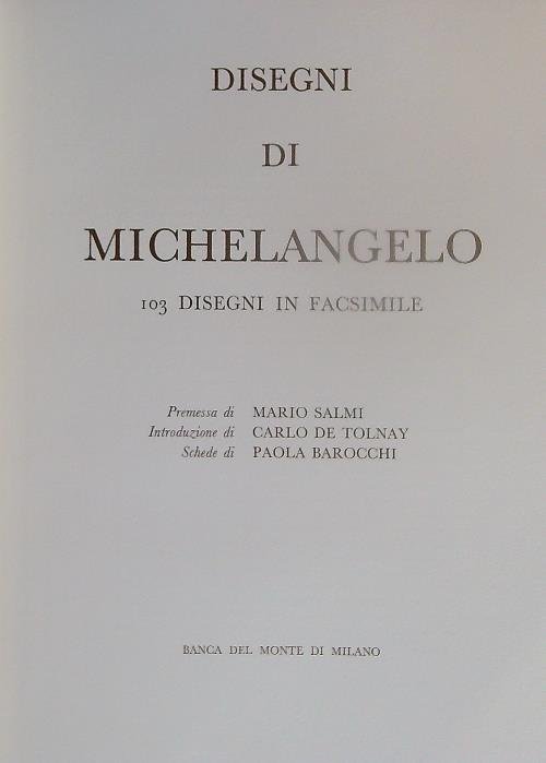 Disegni di Michelangelo. 103 Disegni in Facsimile | Immagine principale