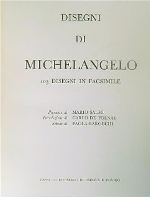 Disegni di Michelangelo. 103 disegni in facsimile