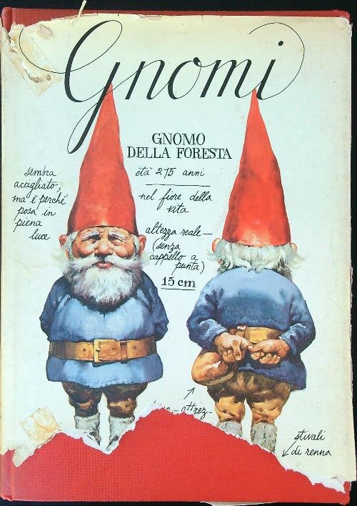 Gnomi | Immagine principale