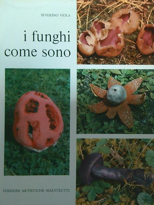I funghi come sono | Immagine Gallery 2