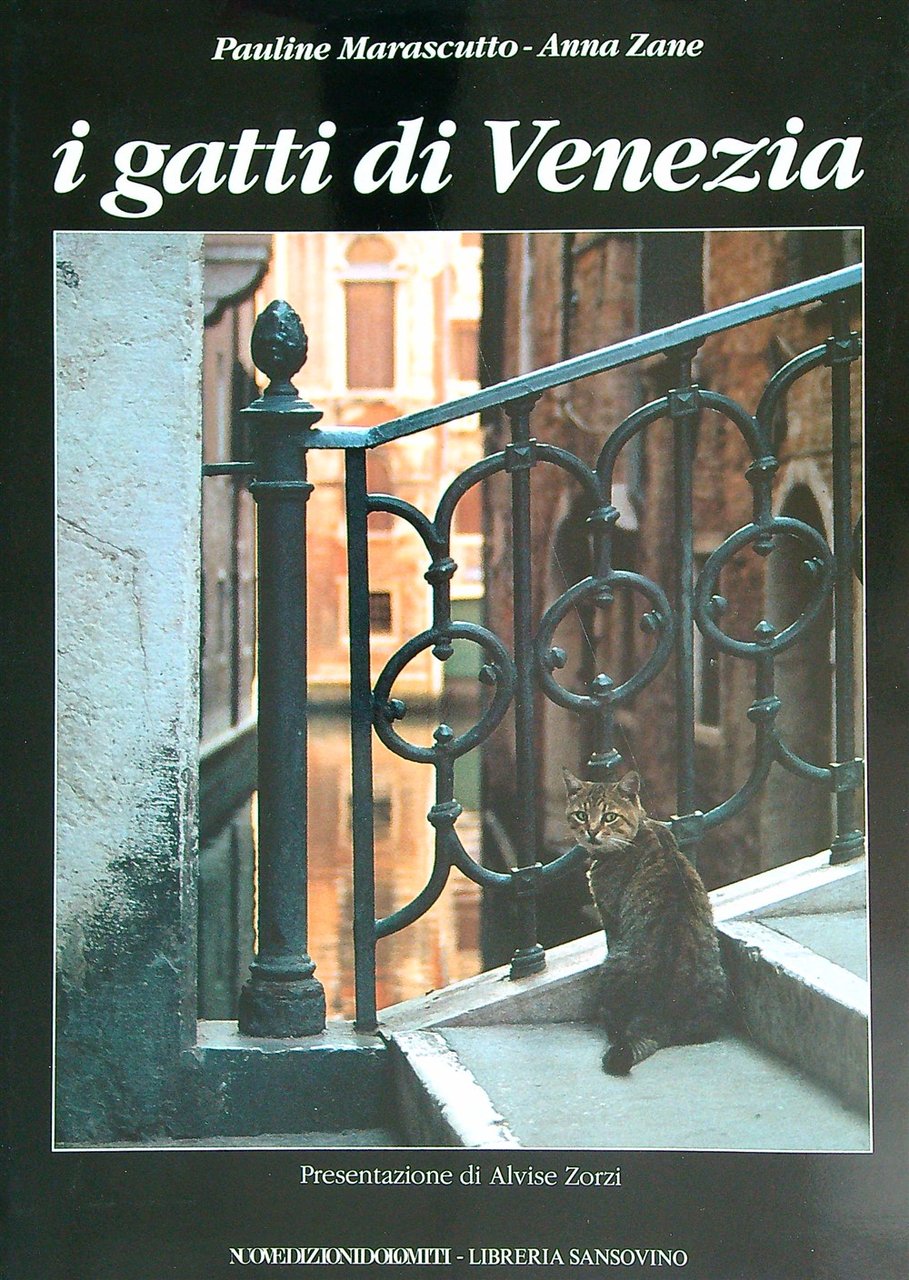 I gatti di venezia | Immagine principale