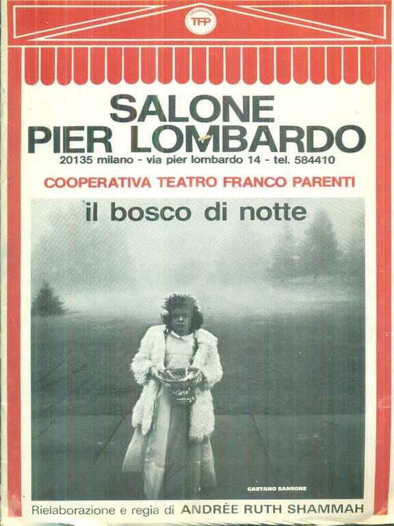 Il bosco di notte