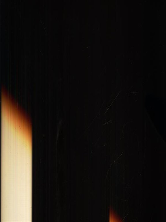 Il patologo 14 | Immagine Gallery 2