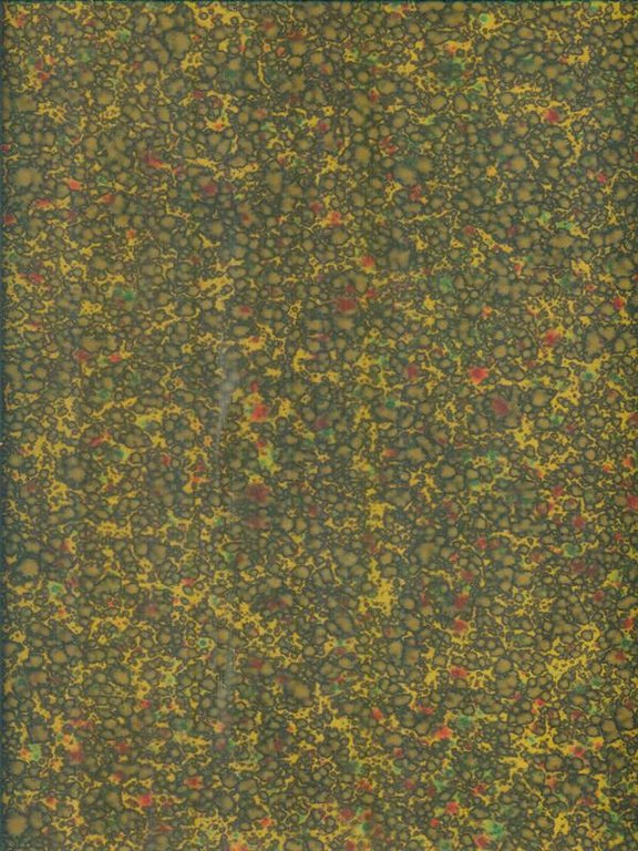 L'Illustrazione Italiana 1905 - 2vv