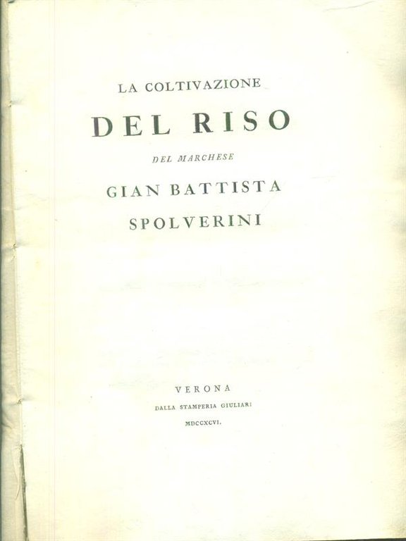 La coltivazione del riso