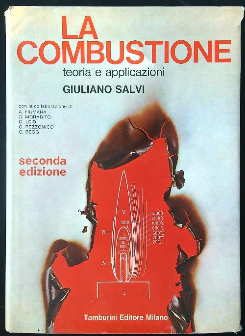 La combustione. Teoria e applicazioni