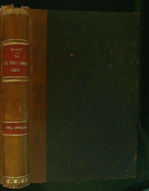 La vita degli animali Pesci Vol Ottavo