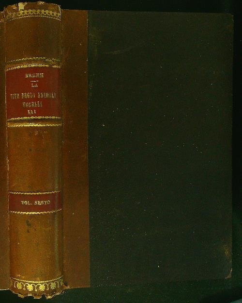 La vita degli animali Ucelli III Vol Sesto