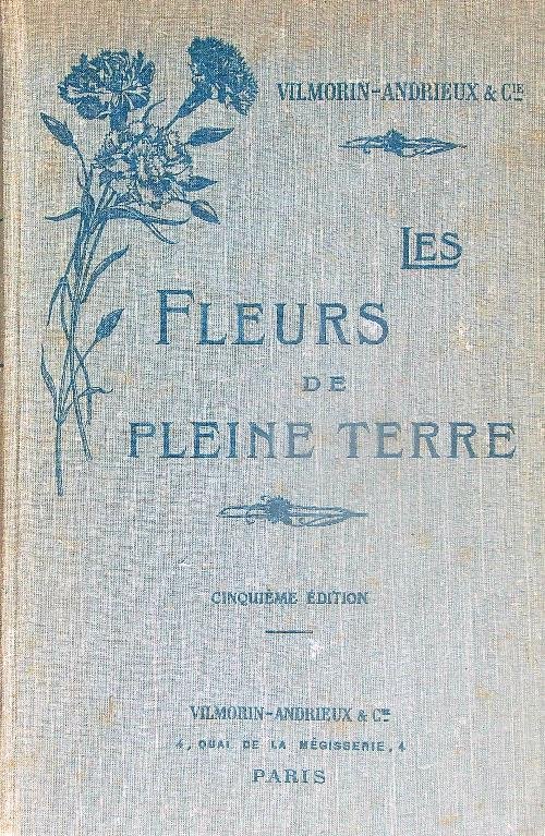 Les fleurs de pleine terre