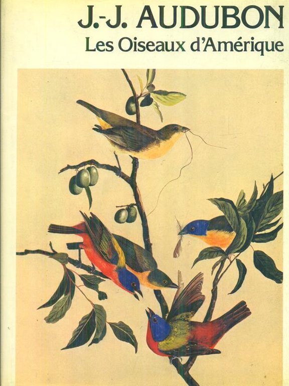 Les oiseaux d'Amerique | Immagine Gallery 2