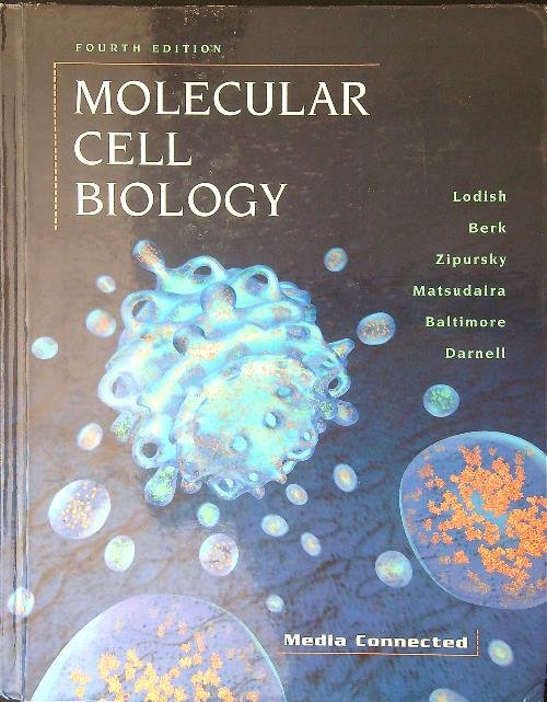 Molecular cell biology + CD-ROM | Immagine principale