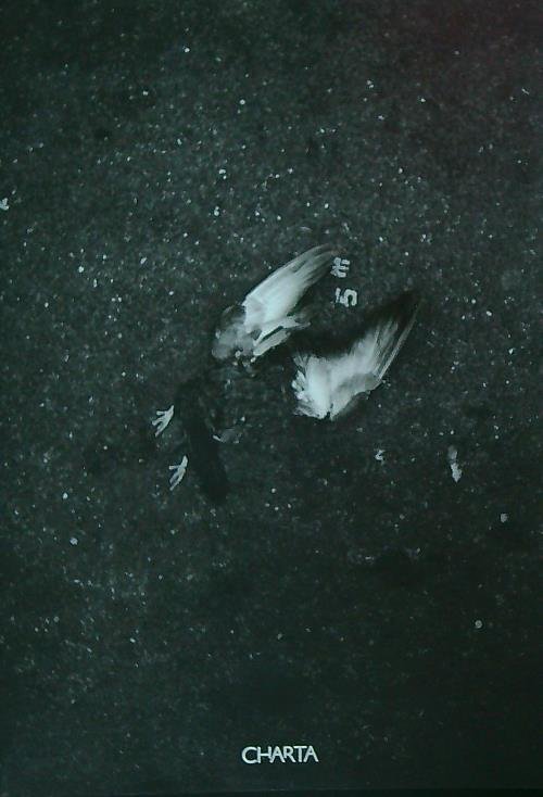 Moreno Gentili. NYC, New York revisited