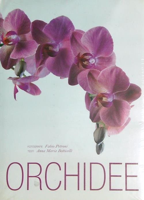 Orchidee