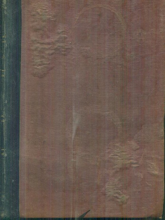Patologia medica 2vv