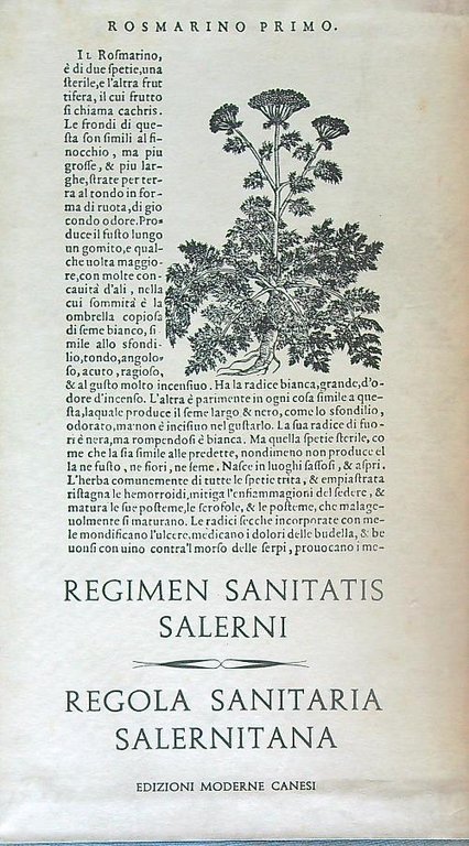 Regola sanitaria salernitana