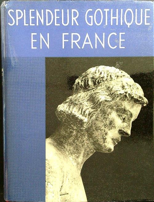 Splendeur gothique en France