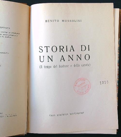 Storia di un anno