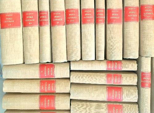 Storia Naturale 20vv