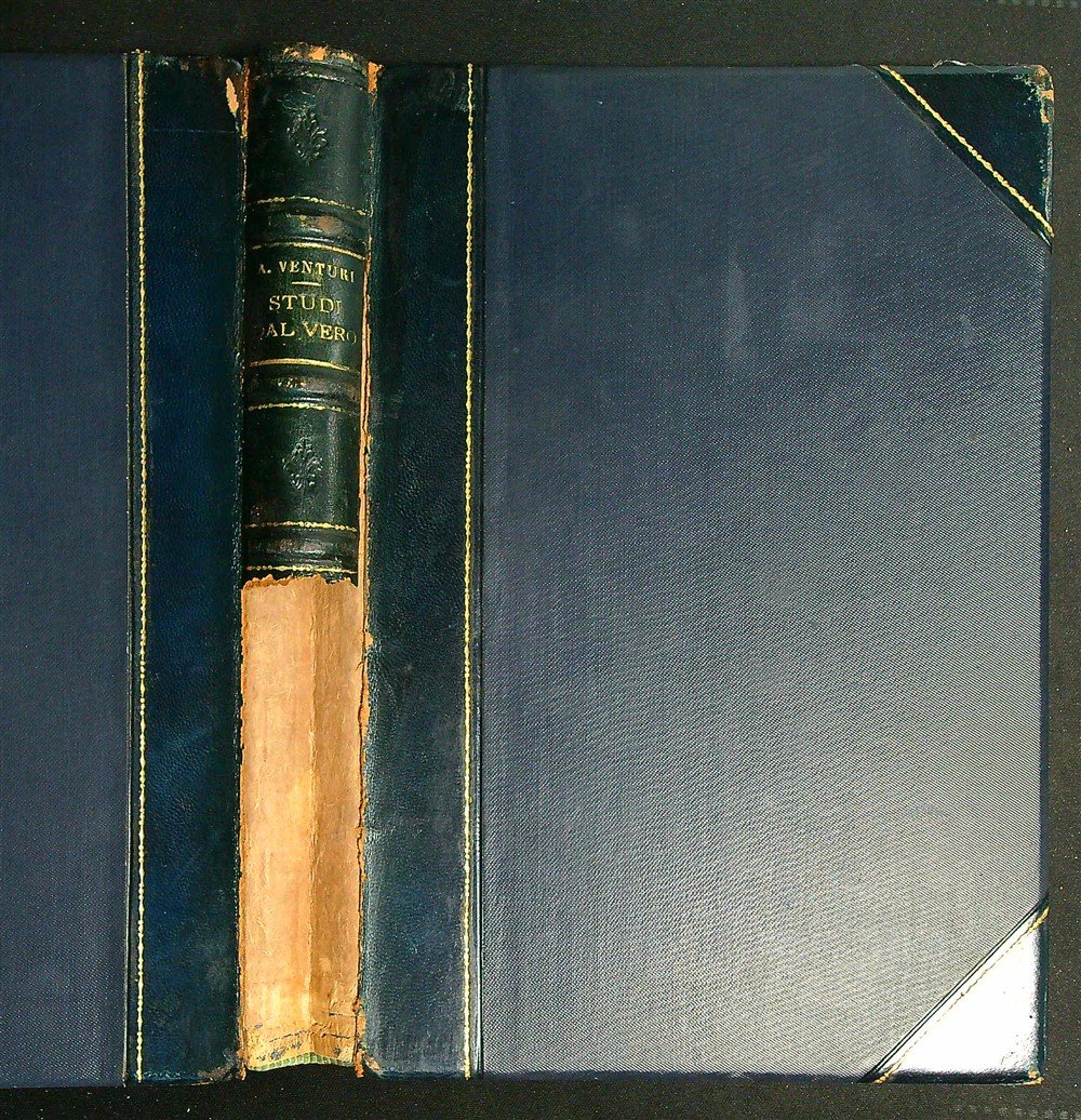 Studi dal vero attraverso le raccolte artistiche d'Europa