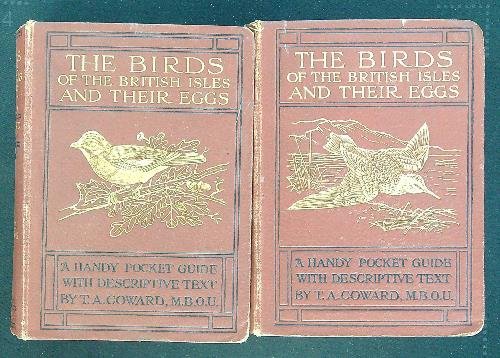 The birds on the british isles and their eggs 2 …