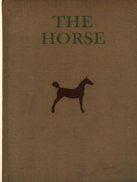 The horse