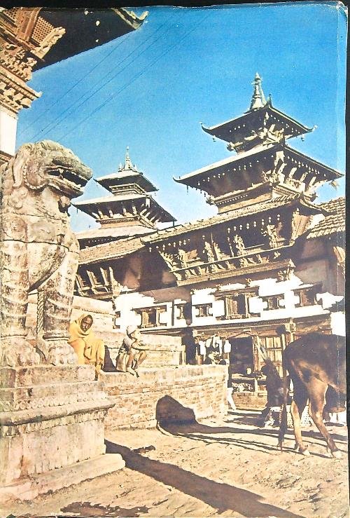 Tra giungle e pagode .