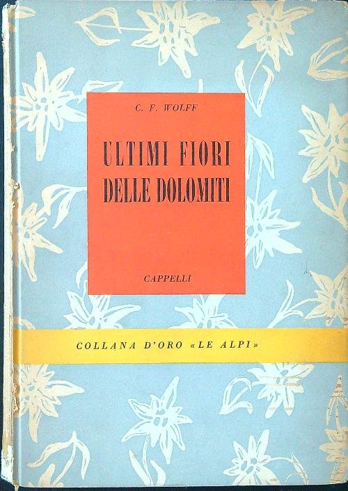 Ultimi fiori delle Dolomiti