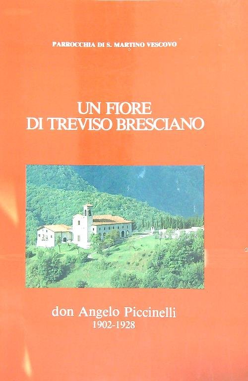 Un fiore di Treviso bresciano: don Angelo Piccinelli 1902-1928