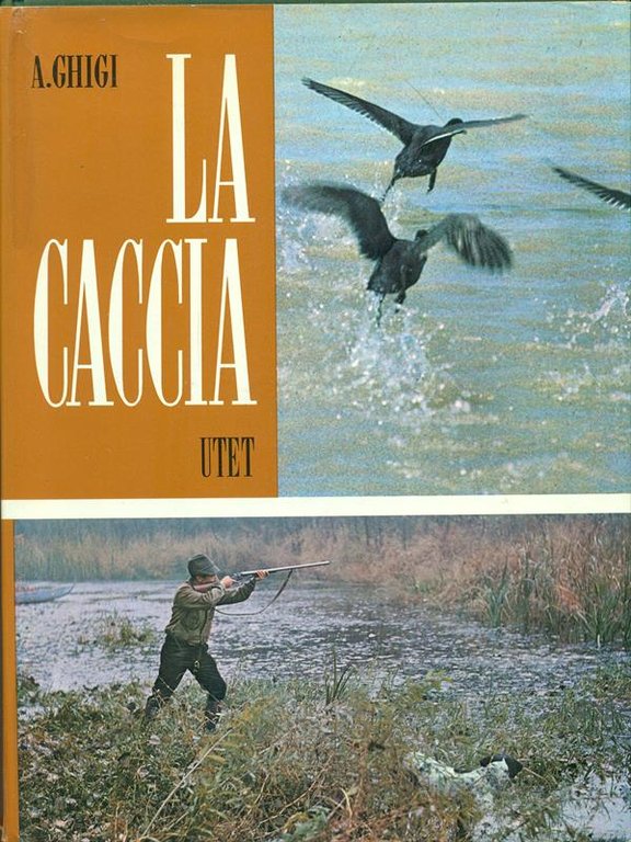 Vecchia citta' | Immagine Gallery 2