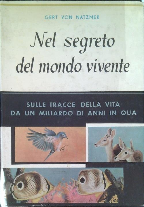 Viaggio per acqua. Mozia | Immagine principale