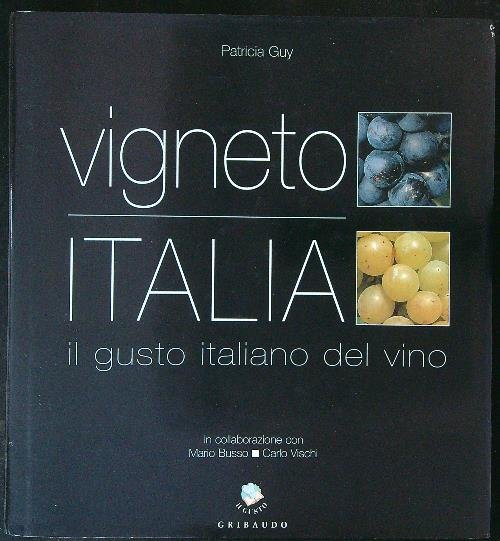 Vigneto Italia Il gusto Italiano del vino | Immagine principale