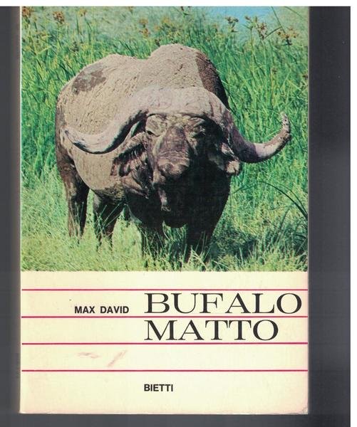 Bufalo Matto