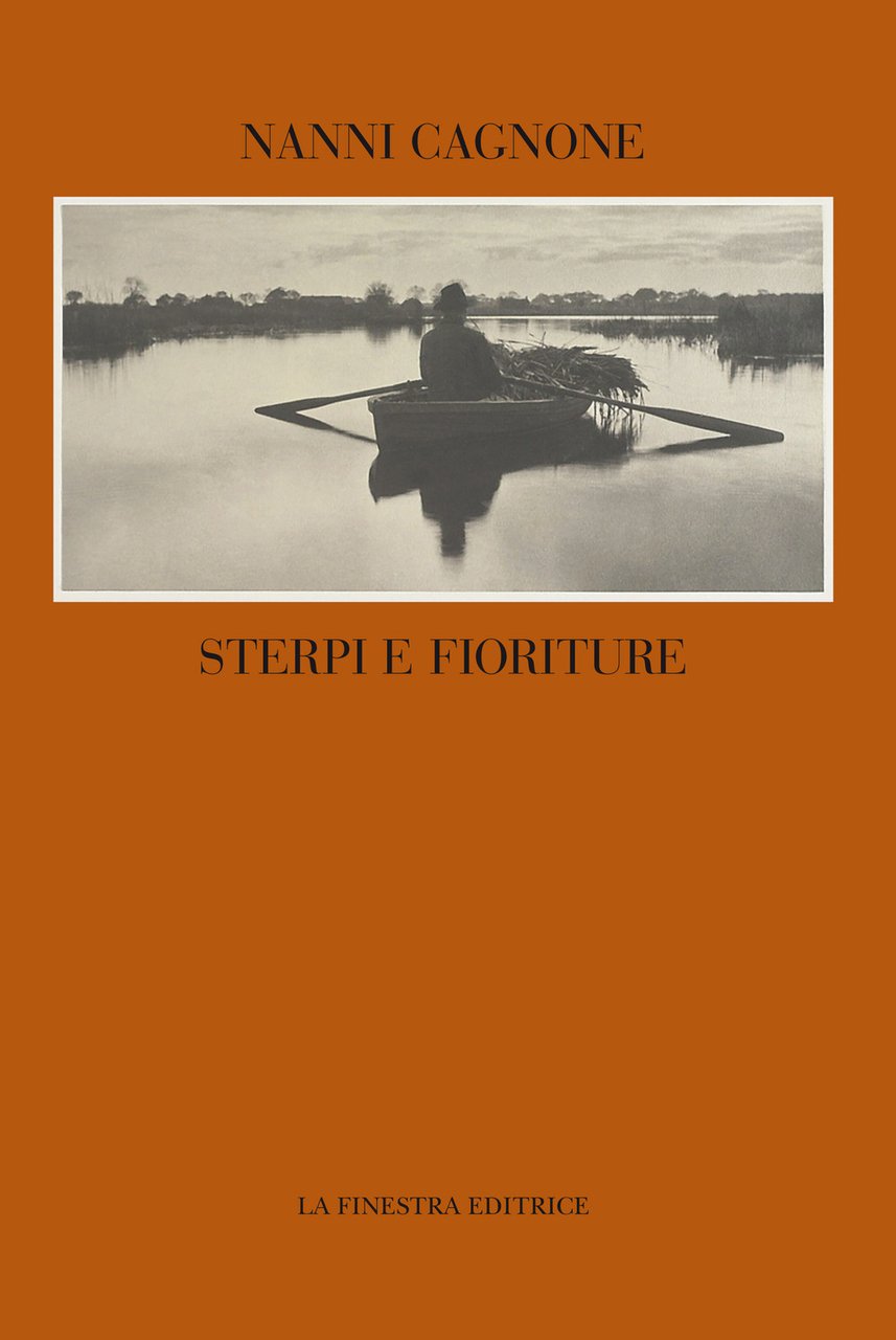 Sterpi e fioriture