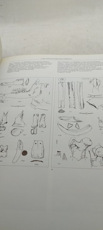 6000 anni di storia sulle alpi occidentali