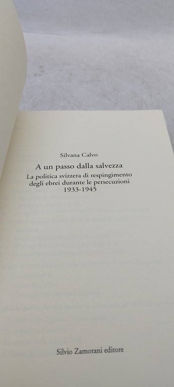 a un passo dalla salvezza la politica svizzera silvana calvo