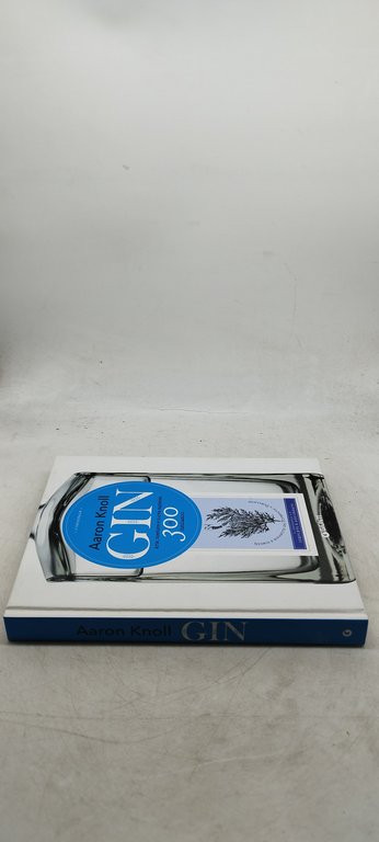 aaron knoll gin arte mestiere e nuova sapienza in 300 …