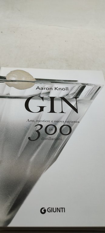 aaron knoll gin arte mestiere e nuova sapienza in 300 …