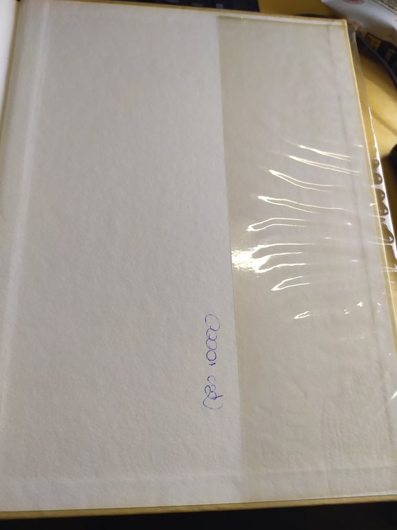 adriano pallini esemplare n 83