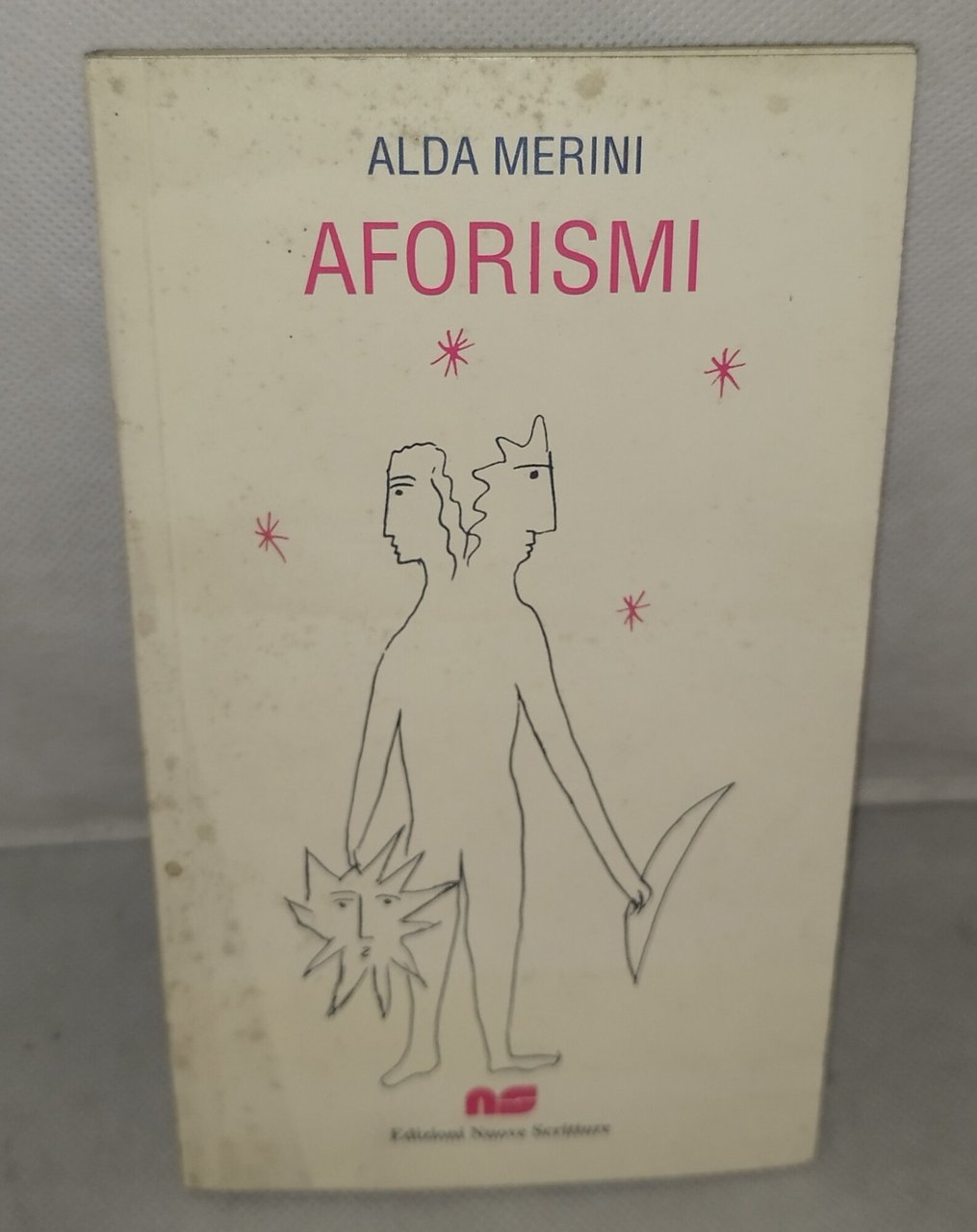aforismi aldamerini | Immagine principale