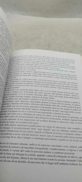 africa gli ultimi fuochi