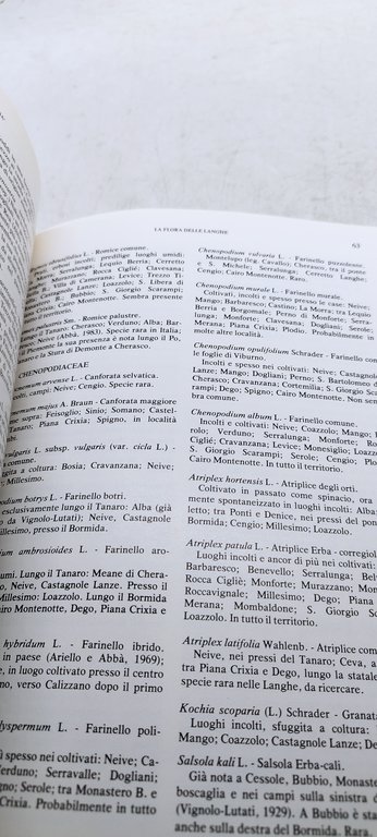 alba pompela rivista semestrale di studi storici artistici e naturalistici …