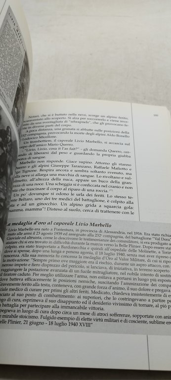 alberto turinetti di priero la battaglia della alpi susa libri