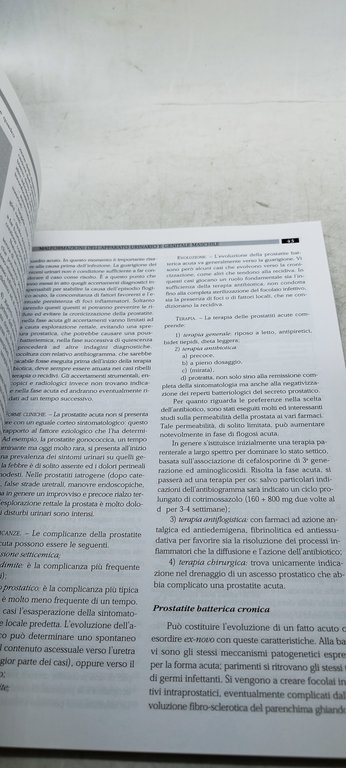 alessandro tizzani bruno frea paolo piana urologia II edizione ristampa