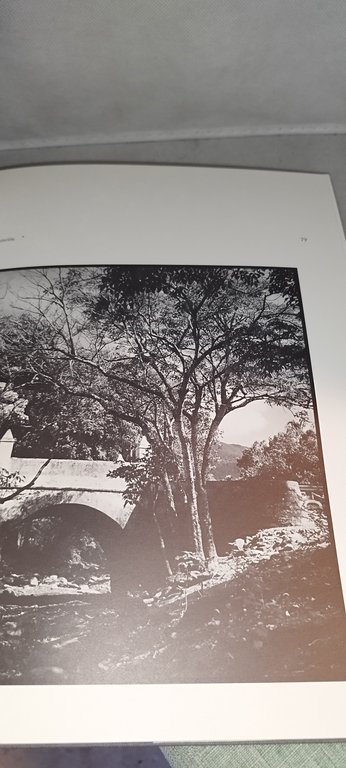 alfredo boulton /la margarita | Immagine Gallery 6