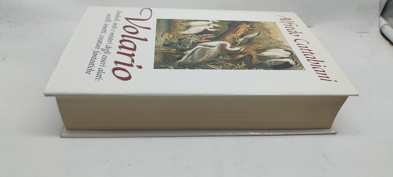 alfredo cattabiani volario