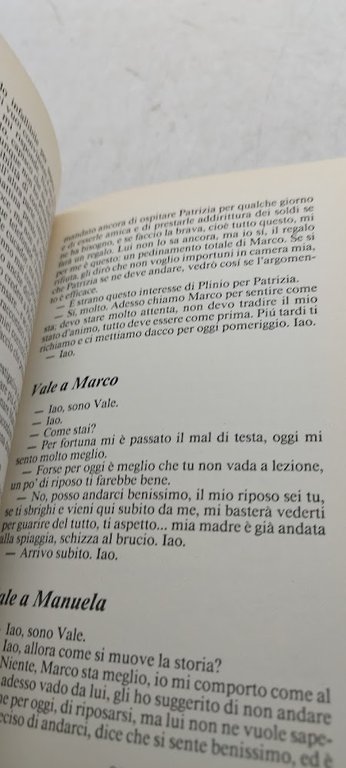 all'infinito mondo paninaro