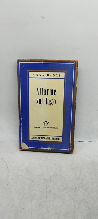 allarme sul lago